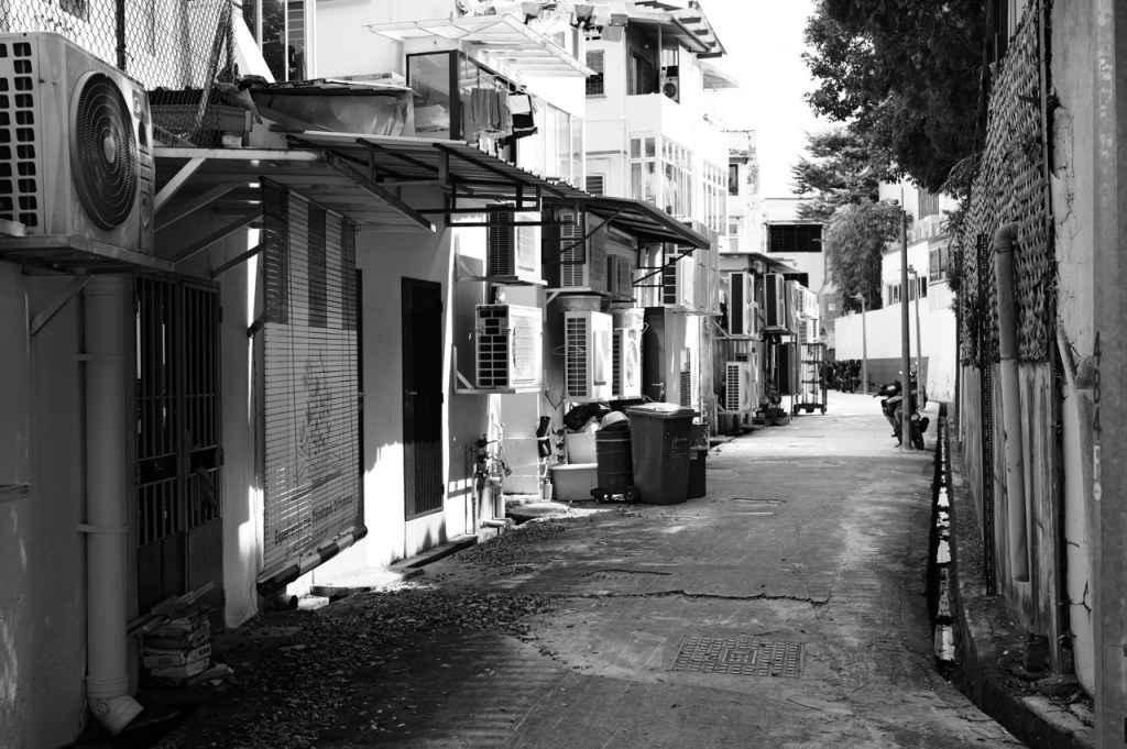 Leica Q3 43mm | Bukit Timah Tutor shoots Binjai&nbsp;Park